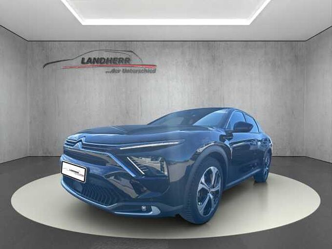 Citroen C5 X 1.2 PureTech You LED/Teilleder/Sitzheizung